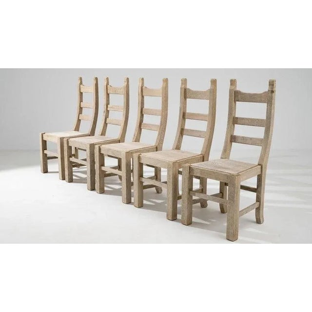 20th Century Belgian Bleached Oak Dining Chairs - Set of 5 For Sale - Image 10 of 12