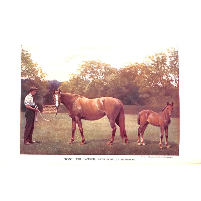 "The Racing World and Its Inhabitants" 1904 Watson, Alfred E. T. For Sale - Image 9 of 12