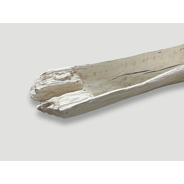 Andrianna Shamaris Sculptural Bleached Teak Wood Vessel For Sale - Image 17 of 18