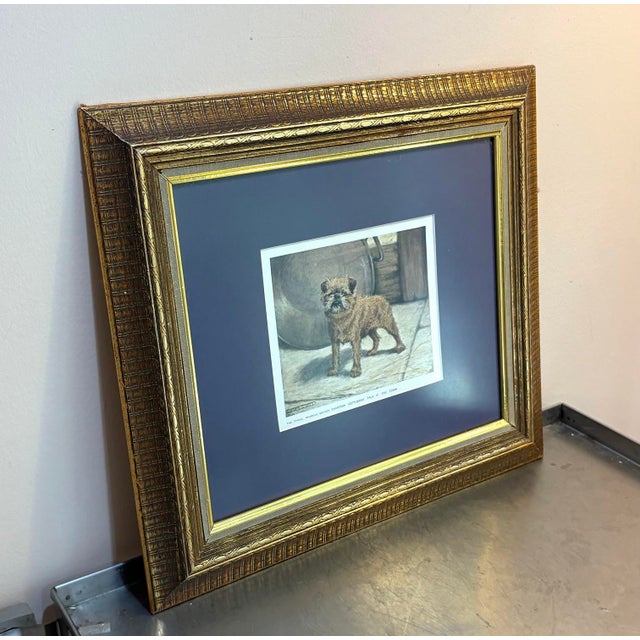 Brussels Griffon Champion Framed Print For Sale - Image 4 of 4