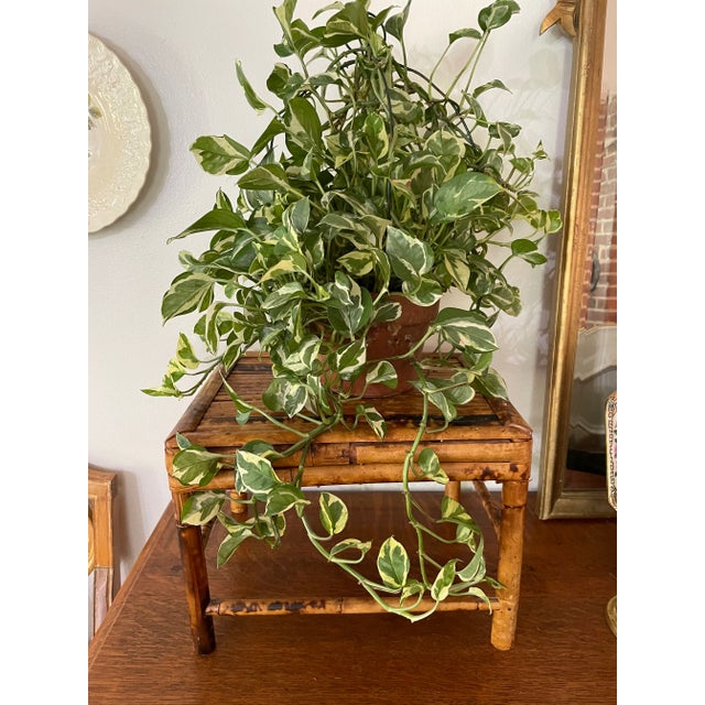Vintage 1970’s Large Scorched Bamboo Plant Stand or Riser For Sale In New Orleans - Image 6 of 7