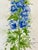Original “Blue Delphinium” Watercolor Painting For Sale - Image 4 of 12