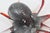 1980s Vintage Coastal Murano Seguso Glass Octopus Sculpture With Silver Foil, 1980's For Sale - Image 5 of 11