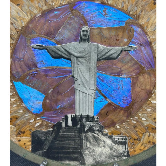 Museum-Quality Antique Brazilian Morpho Butterfly Wing Art Plate For Sale - Image 10 of 13