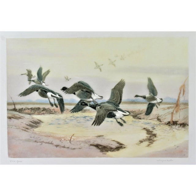 Paint Winifred Austen, Black Geese, 1934 For Sale - Image 7 of 7