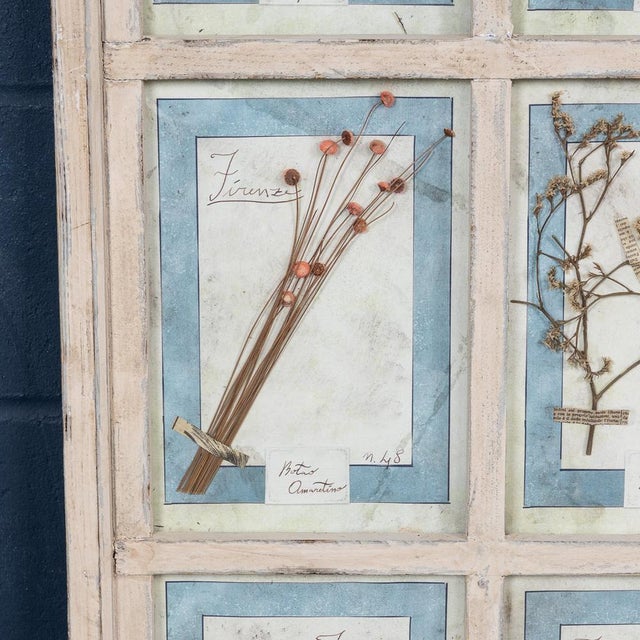 Large Italian Oak Frame Containing Pressed Flowers and Herbs, 1980s For Sale - Image 11 of 18
