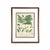 19th-Century European Fern Gallery | Set of 16 Framed Botanical Prints For Sale - Image 12 of 12