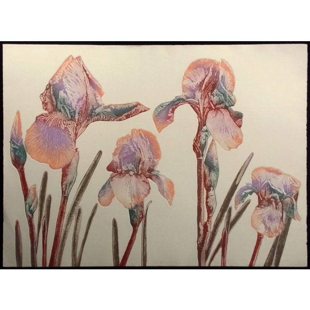 Catherine O'Connor "Iris" Hand Signed Limited Edition Floral Still Life Etching For Sale - Image 4 of 4