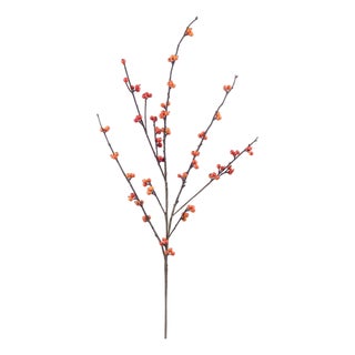Berry Twig Spray (Set of 4) For Sale