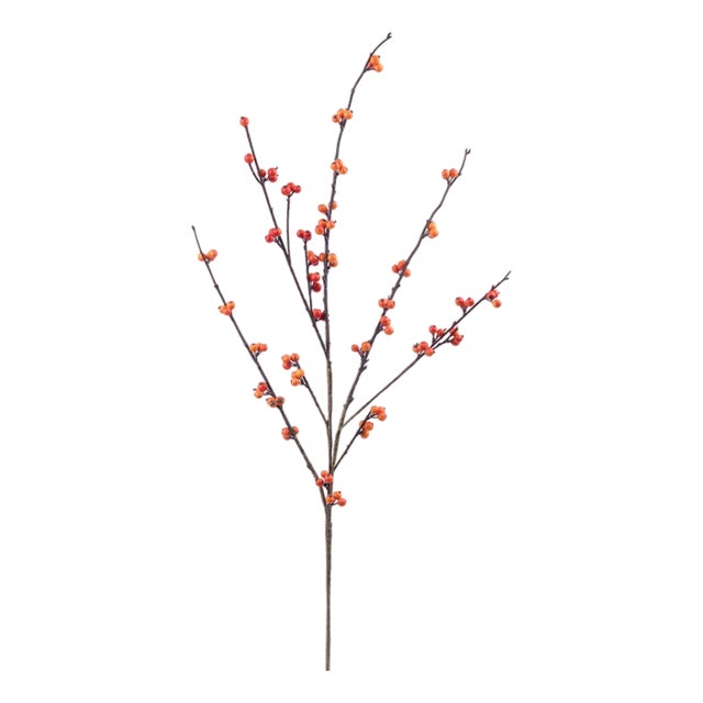 Berry Twig Spray (Set of 4) For Sale