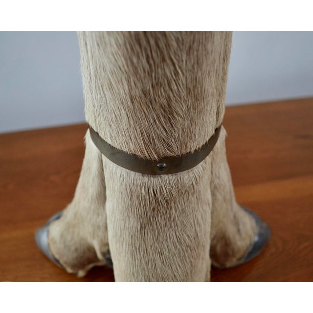 Mid Century Rustic Deer Hoof Table Lamp For Sale - Image 4 of 5