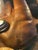 American Vintage Joe Gordon Professional Model Baseball Glove (Converted to Lamp) For Sale - Image 3 of 5