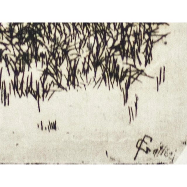 Image dimensions: 20.2 x 15.3 cm. The old horse is a superb original etching (on copper matrix) on paper, signed on plate...