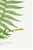 Vintage Fern Art Print, Botanical Fern Reproduction, 20" X 30" For Sale - Image 10 of 10