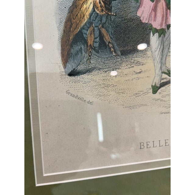 Grandville Belle-De-Nuit Hand-Colored Engraving Les Fleurs Animees For Sale - Image 14 of 15