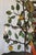 Vintage Italian Tole Citrus Wall Sconce For Sale - Image 9 of 15