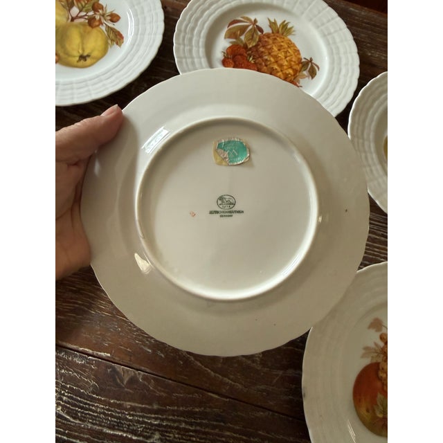 Ceramic Vintage Hutschenreuther German Fruit Plates – Set of 6 For Sale - Image 7 of 12
