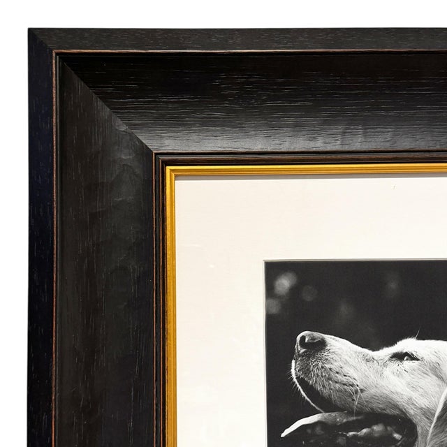 1980s Rowdy, a Framed Photograph by Bruce Weber For Sale - Image 5 of 9