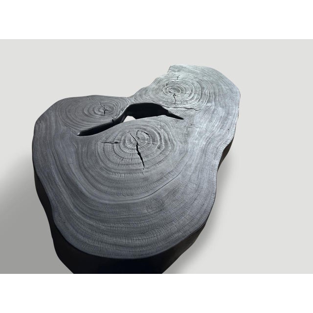 2010s Andrianna Shamaris Impressive Single Slab Suar Wood Charred Coffee Table For Sale - Image 5 of 18