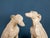 Tuscan Porcelain Greyhounds, Early 20th Century, Set of 2 For Sale - Image 4 of 6