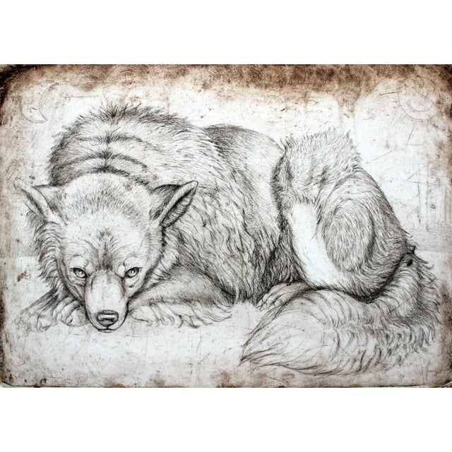 Brown Maria Korusiewicz, Beware of Dogs II, 1999 For Sale - Image 8 of 8