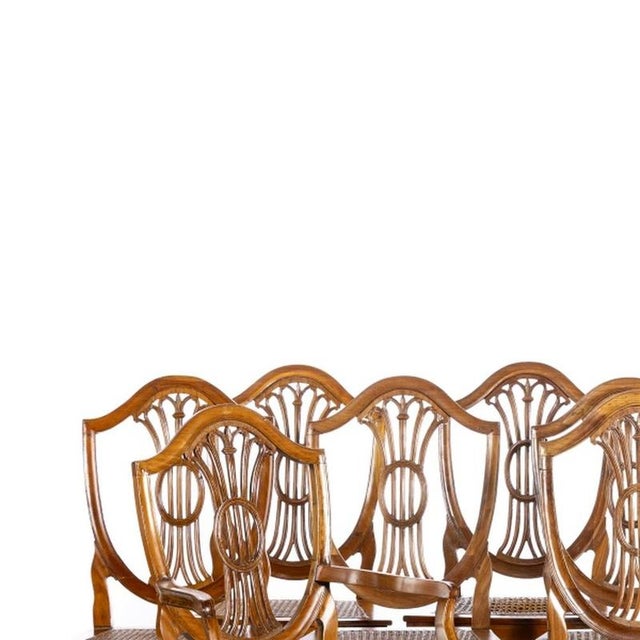 Furniture - Set of ten chairs and two armchairs - 18th century. Portuguese from the 18th century; D. Jose/D. Maria in...
