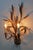 Large Florentine Regency Wall Lamp with Ears of Wheat by Hans Kögl, 1970s For Sale - Image 4 of 9