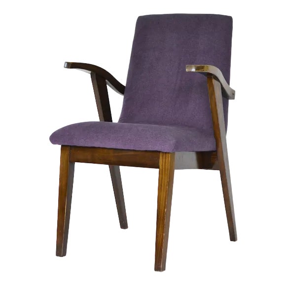 Type 300-123 Armchair by Mieczysław Puchała, 1950s For Sale