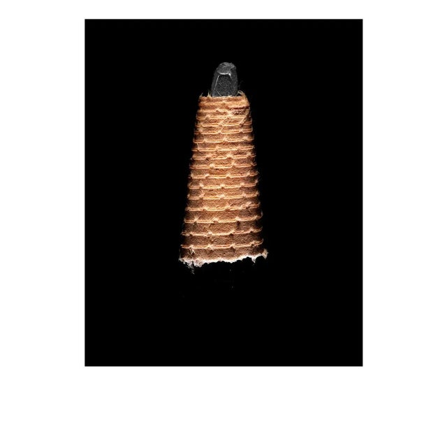 Dave Eggers Writer, Editor, Publisher the circle pencil Sharpie Peel-Off China Marker Black Unframed Dave Eggers's Pencil...