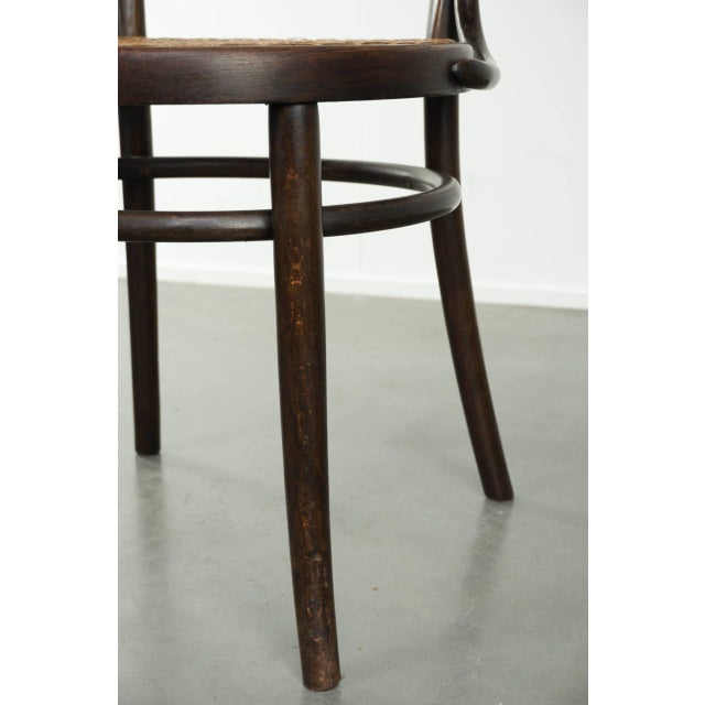 Vintage Webbing Armchair in Curved Wood For Sale - Image 11 of 13
