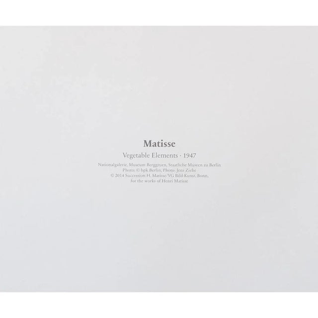 Henri Matisse After Henri Matisse "Vegetable Elements" First Edition Poster For Sale - Image 4 of 7