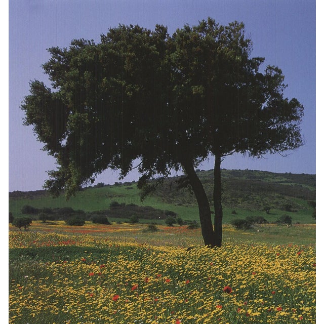 Contemporary Archiv Kiedrowski Tuscany, Italy, 2009 For Sale - Image 3 of 4