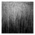 Paul Cooklin, Water Reeds VIII, Edition of 50 For Sale