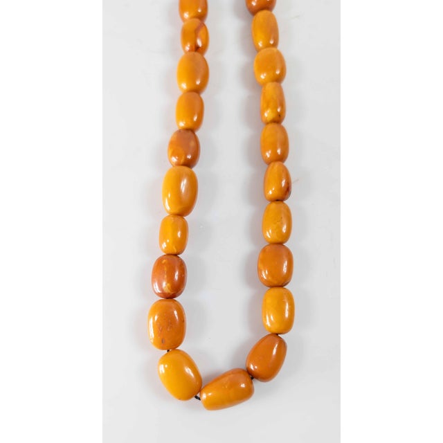 20th Century Butterscotch Egg Yolk Amber Prayer Necklace For Sale In New York - Image 6 of 12
