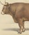 19th Century Borie, Limousin Ox, French Cattle Breed, 1863, Chromolithograph For Sale - Image 5 of 9