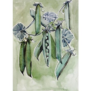 Mid Century Watercolor Painting of Garden Green Peas For Sale