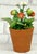 Porcelain Strawberry Plants by Didier Gardillou - Contemporain Period For Sale - Image 4 of 10