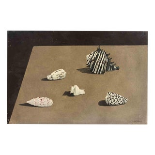 Gino Guida, Shells, 1980s, Oil Painting on Plywood For Sale