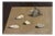 Gino Guida, Shells, 1980s, Oil Painting on Plywood For Sale