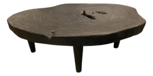 Andrianna Shamaris Amorphous Single Slab Mid-Century Modern Coffee Table