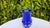 Cobalt Vase by Gunnar Ander for Lindshammar Stålverk, 1950s For Sale - Image 3 of 7