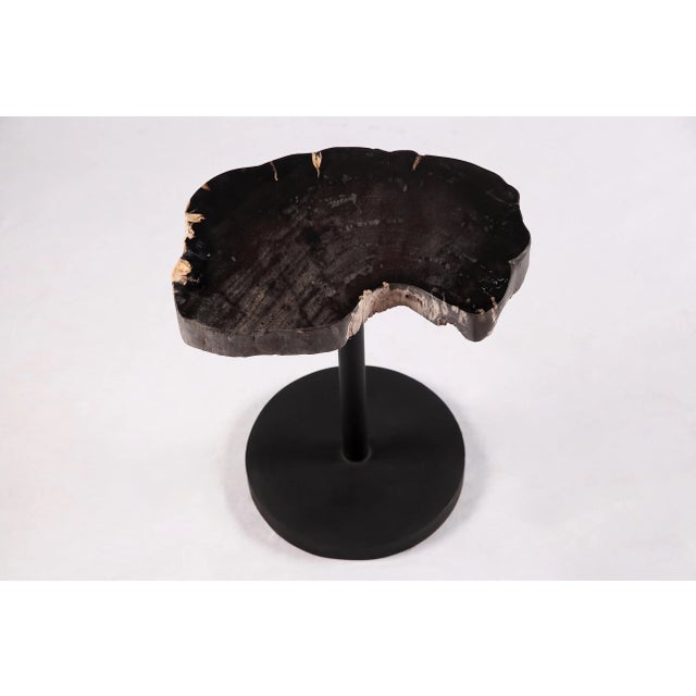 2020s Living Edge Petrified Wood Top W Black Metal Stand Accent Table or Side Table 54 For Sale - Image 5 of 5