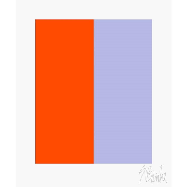 Color's Cooperation No. 3 Fine Art Print 16" X 20" by Liz Roache For Sale