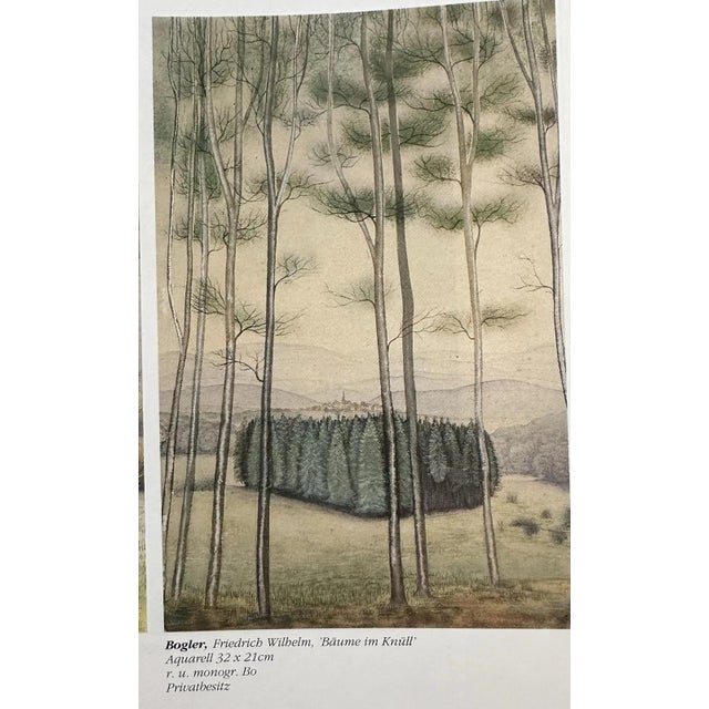 1920s Friedrich Wilhelm Bogler, Trees Knüll, 1920s, Watercolor For Sale - Image 5 of 13