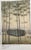 1920s Friedrich Wilhelm Bogler, Trees Knüll, 1920s, Watercolor For Sale - Image 5 of 13