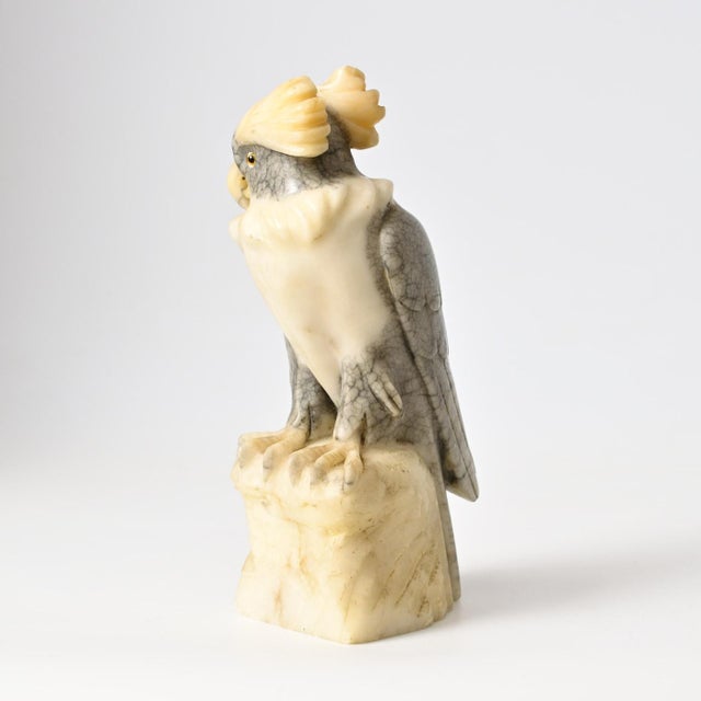 Art Deco Carved Alabaster Sculpture of Cockatoo, 1930s For Sale - Image 3 of 12