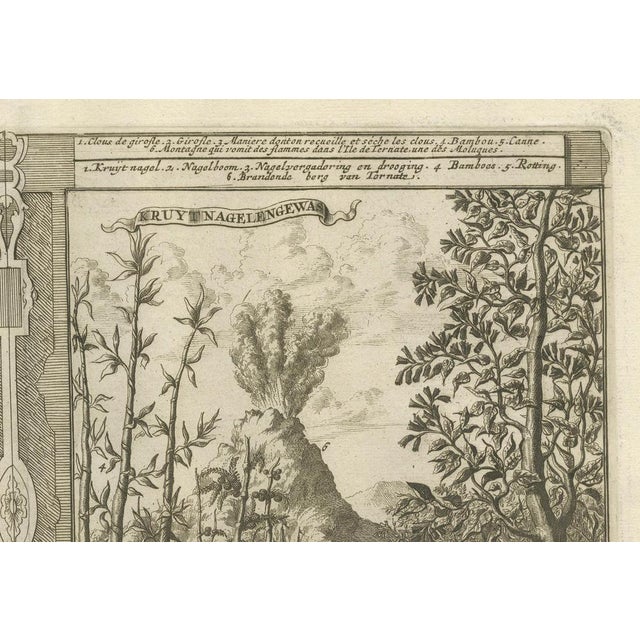 Paper R. De Hooghe, The Spice Lands of the East Indies, 1708, Print For Sale - Image 7 of 9