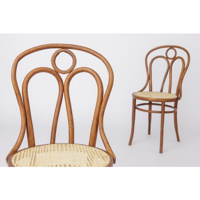 Stained Beech Bentwood Angel Chairs with Vienna Cane Seats, 1940s, Set of 2 For Sale - Image 3 of 9