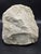 Sculpture of Child's Face, 1890s-1910s, Marble For Sale - Image 5 of 6
