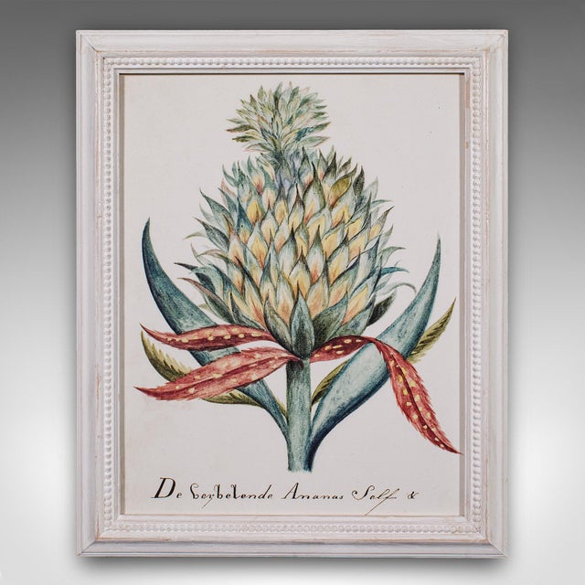 White 4 Vintage Botanical Pictures, Framed Print, Plant Illustrations, Natural Art For Sale - Image 8 of 12